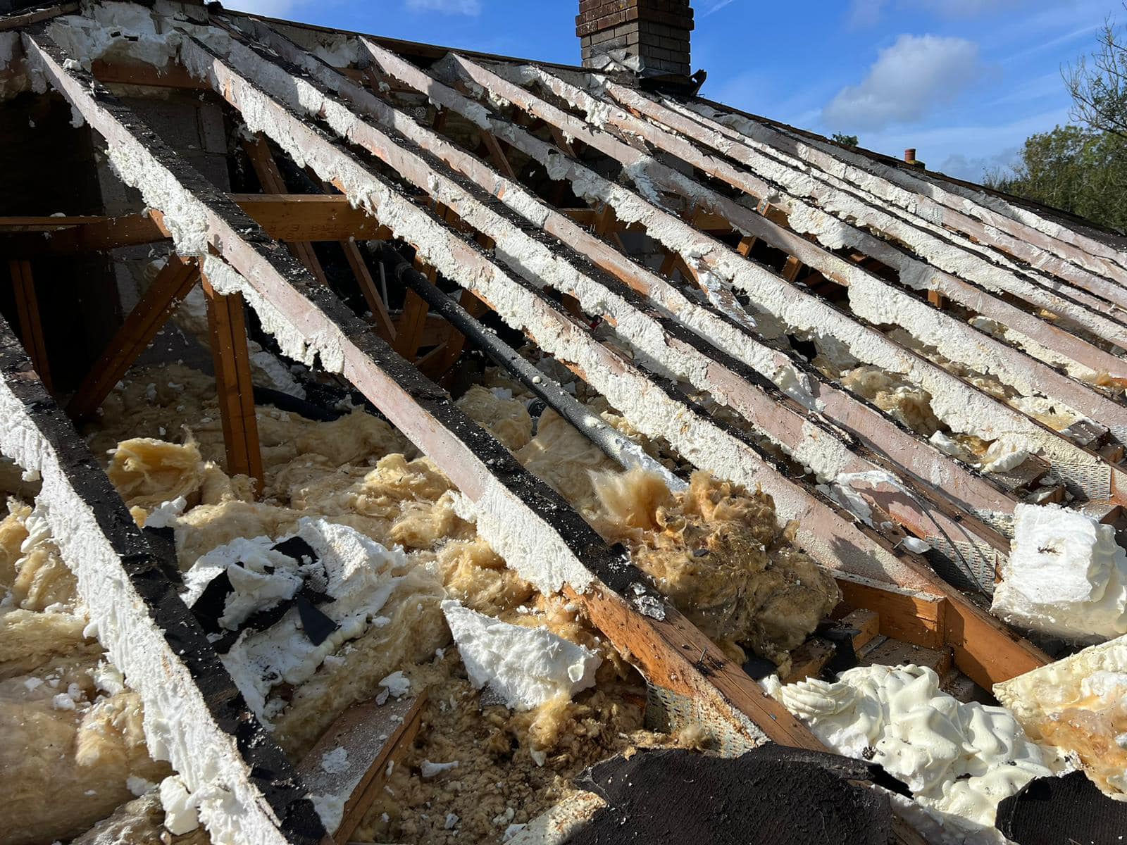 Moss removal in Wimbledon