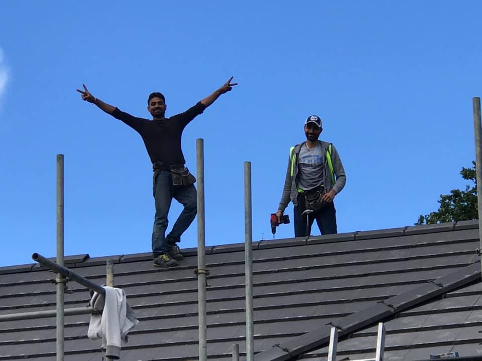 Moss removal in Wimbledon
