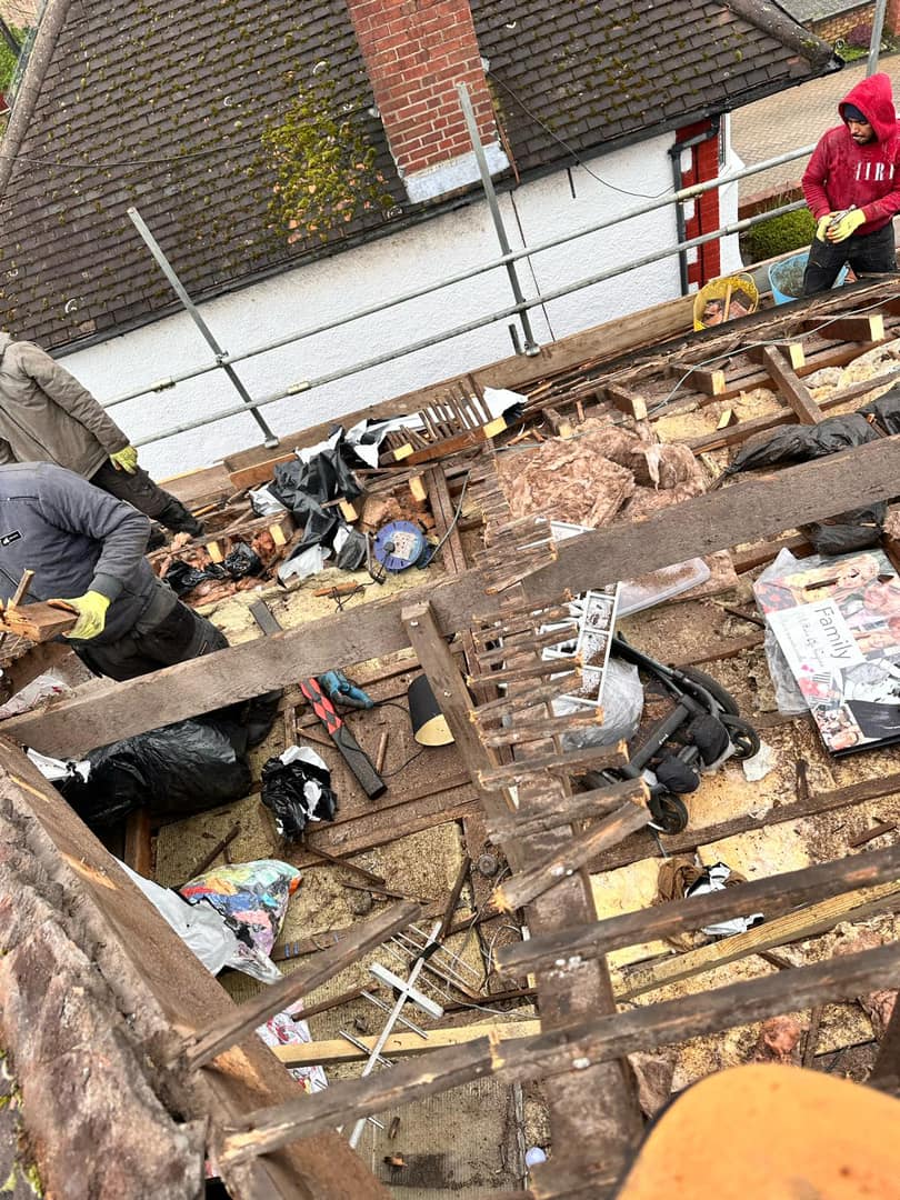Moss removal in Wimbledon