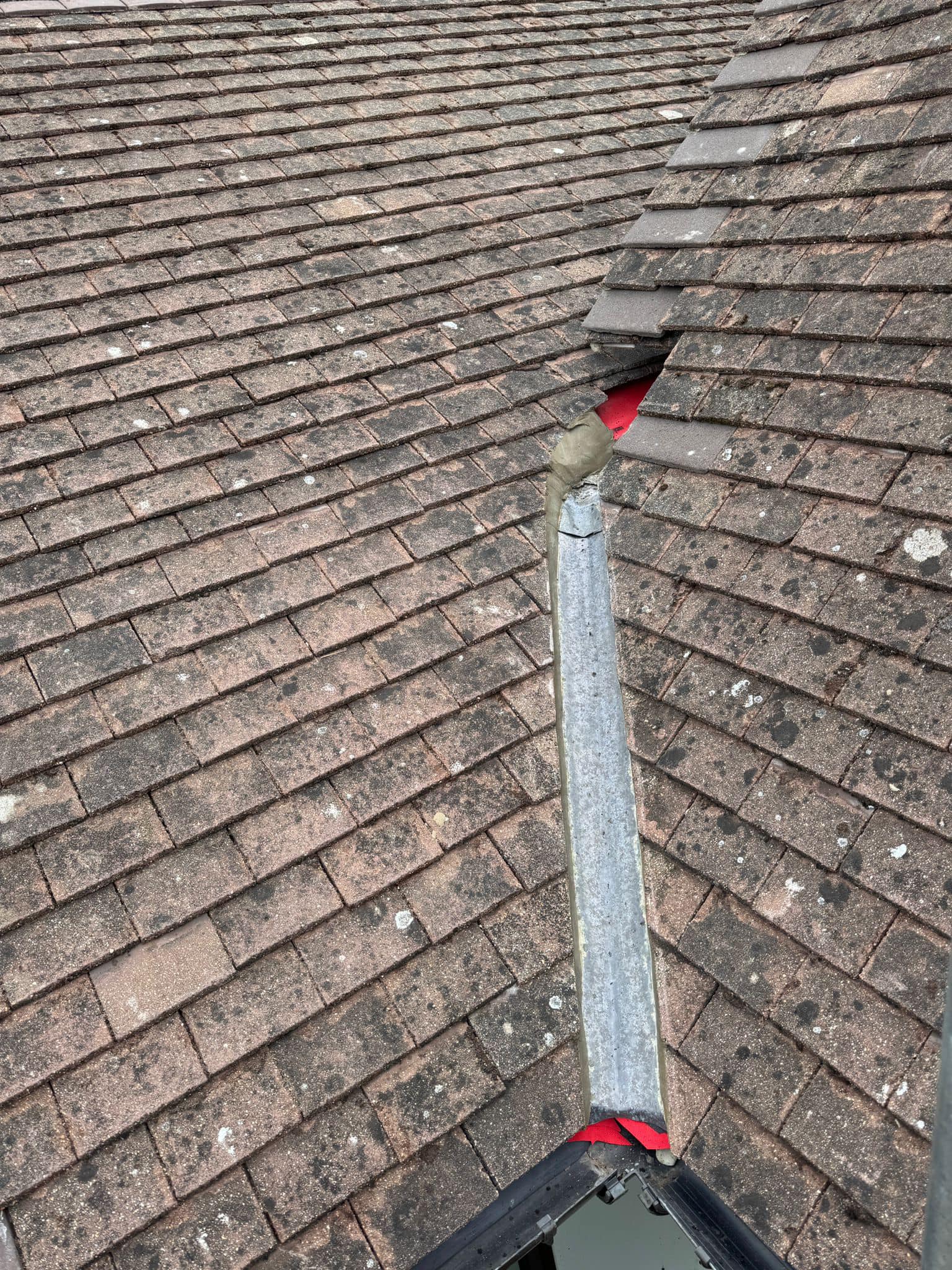 Moss removal in Wimbledon