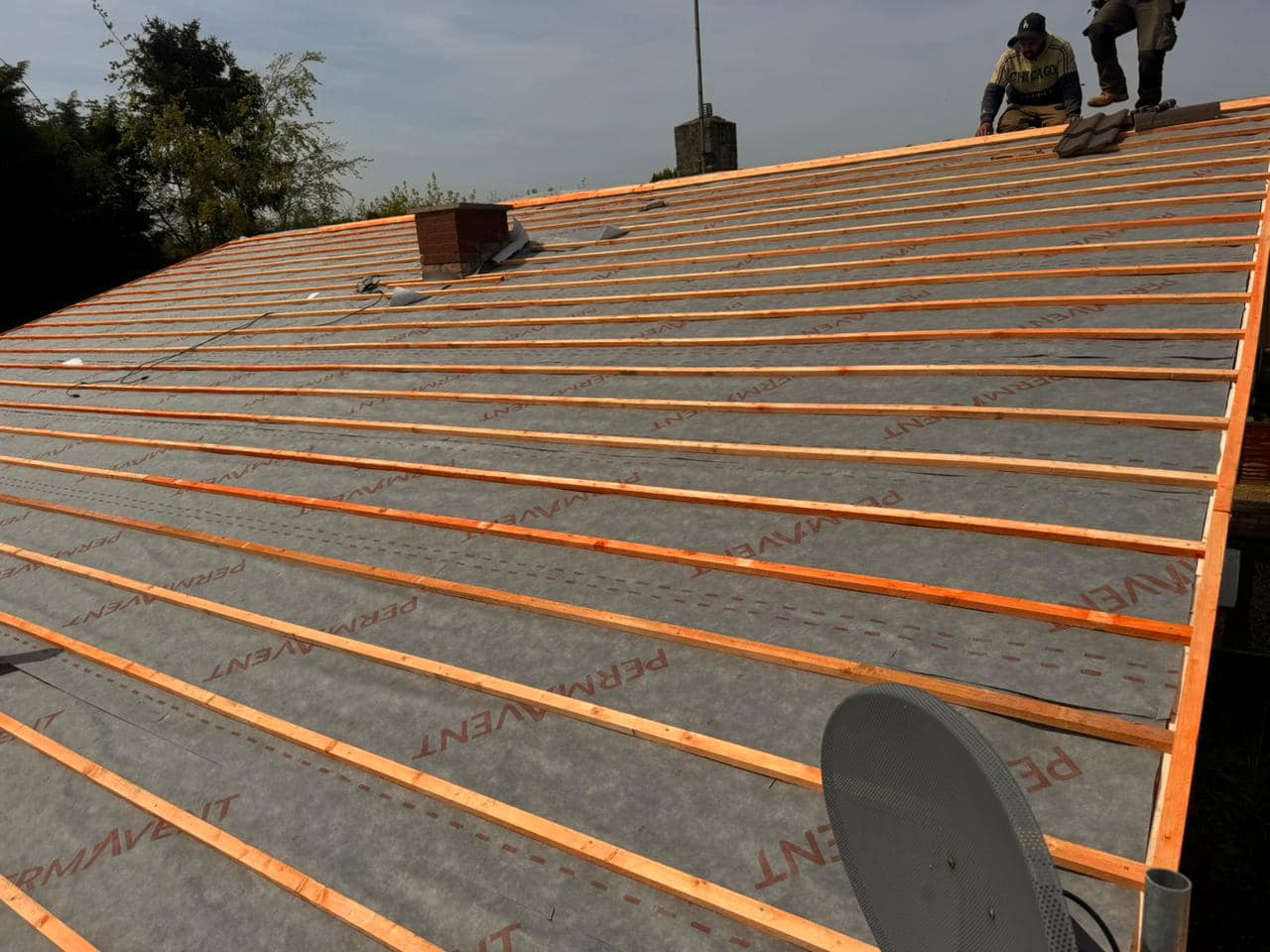 Roof survey in Kensington