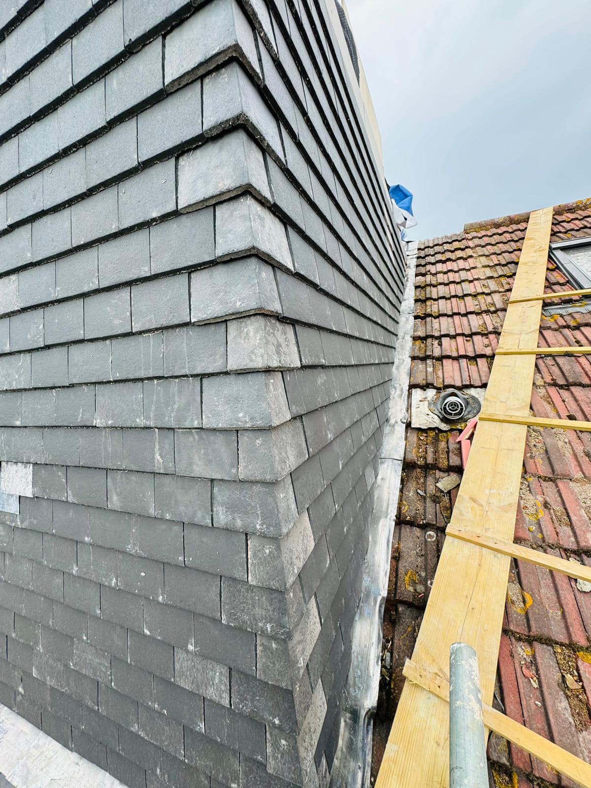 Roof survey in Kensington