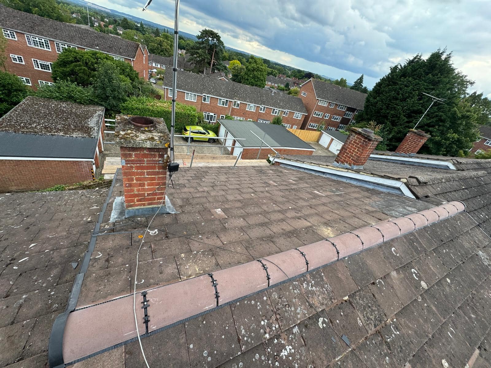 Moss removal in Wimbledon