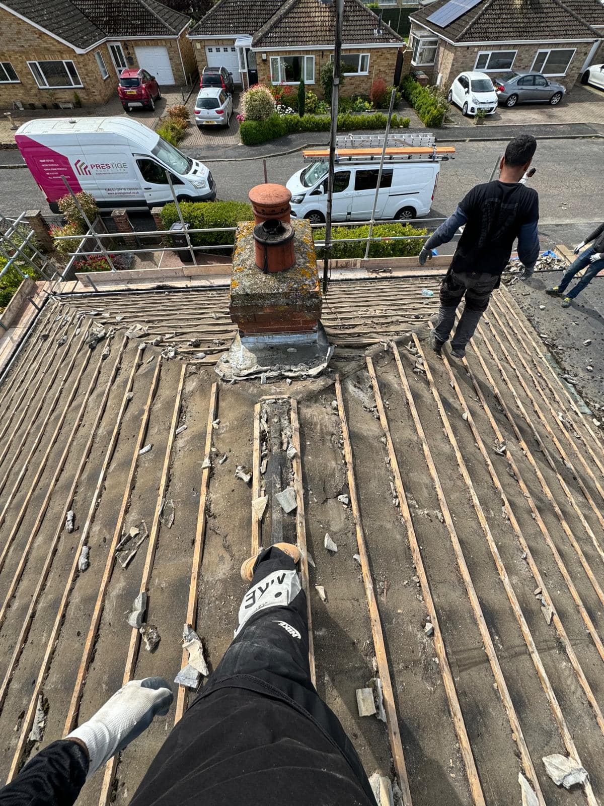 Moss removal in Wimbledon