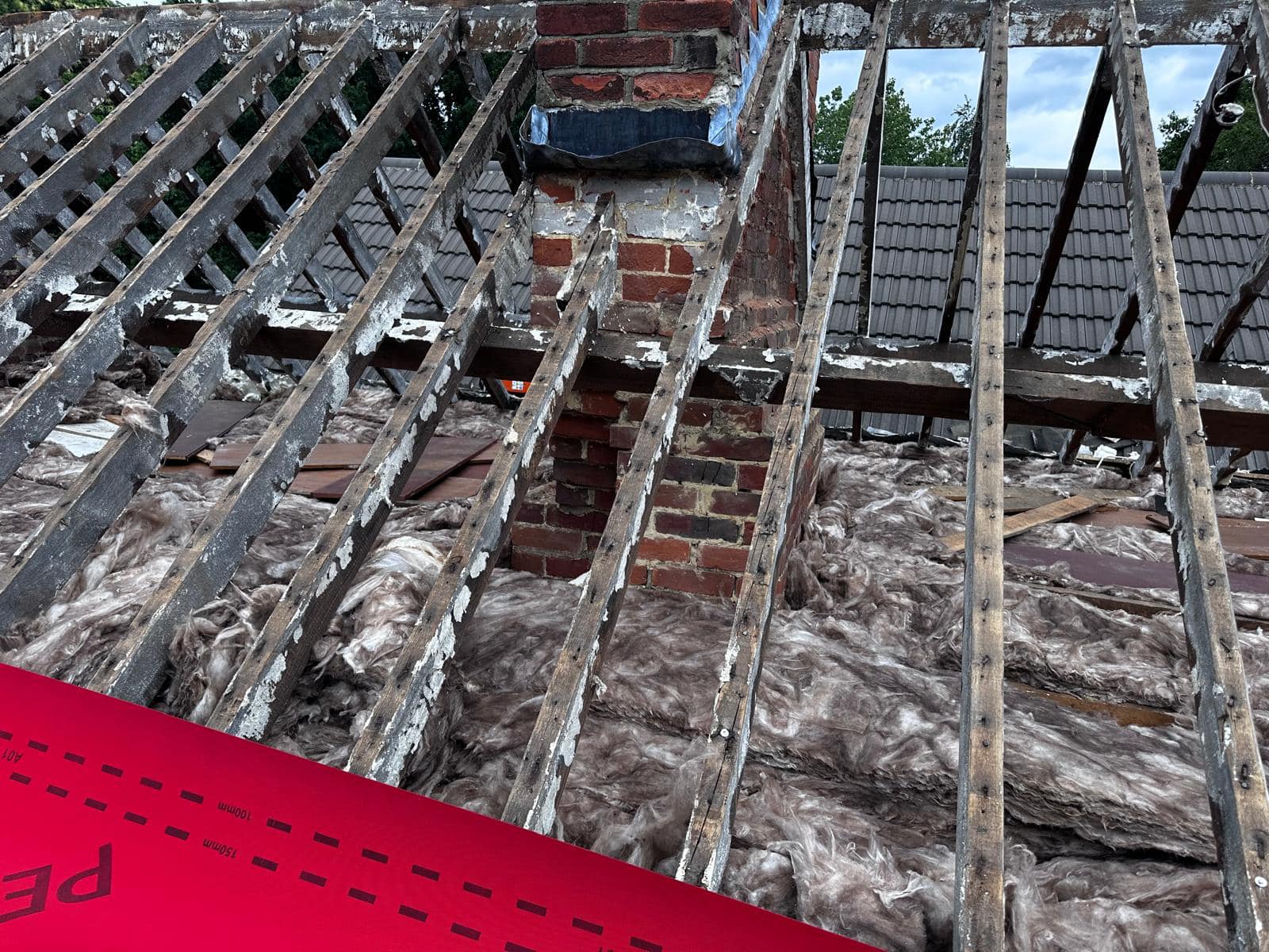Moss removal in Wimbledon