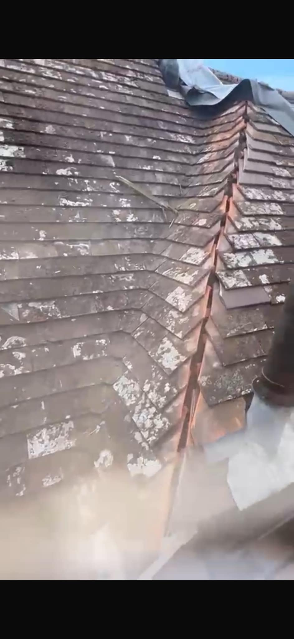 Moss removal in Wimbledon