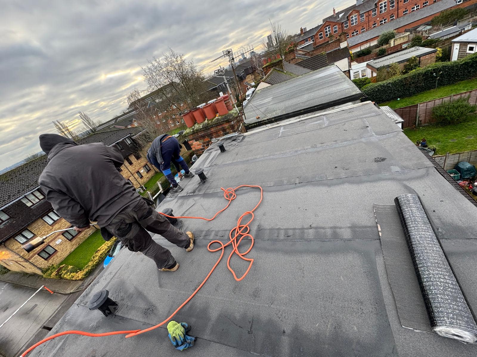 Moss removal in Wimbledon