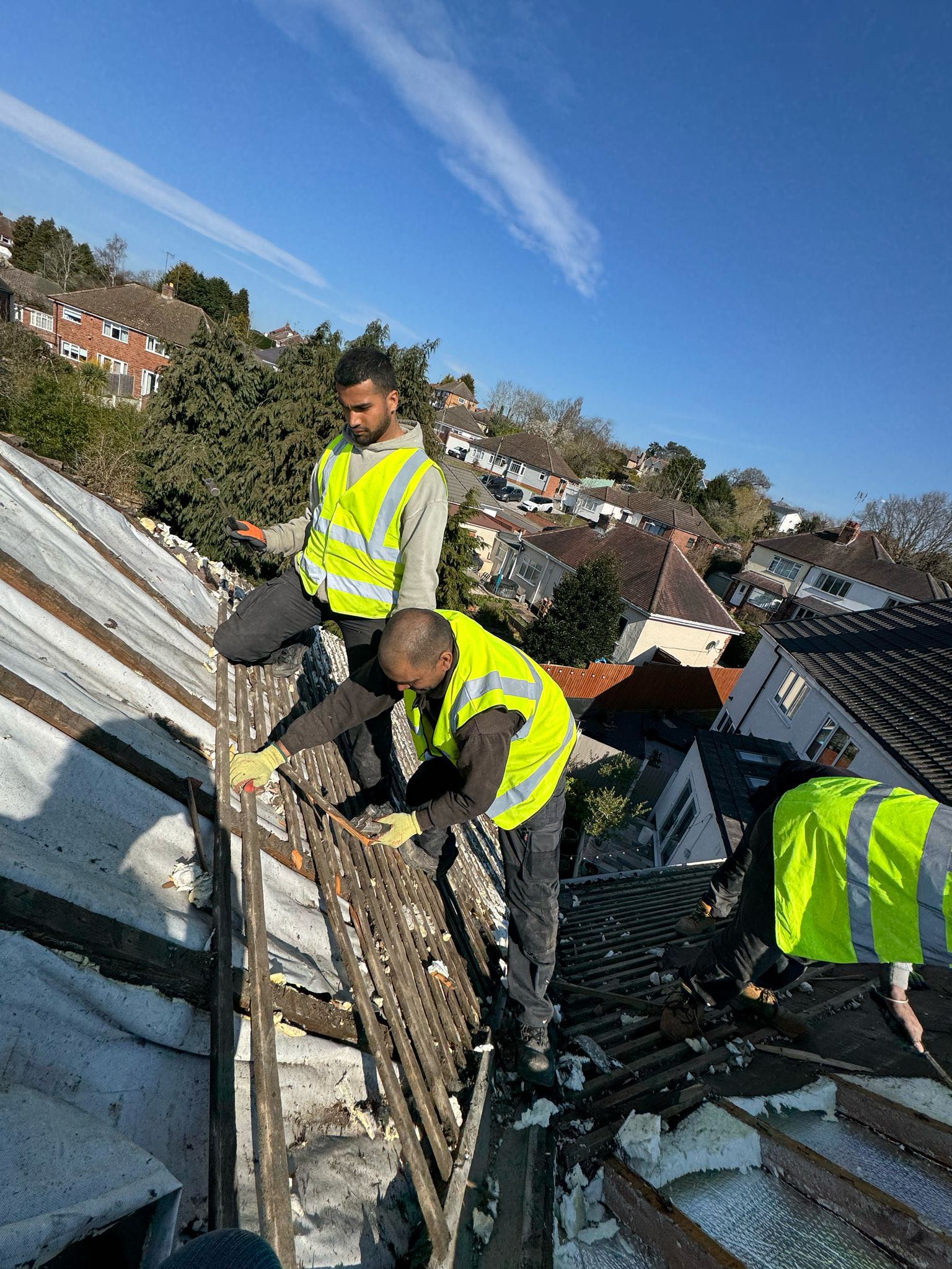 Moss removal in Wimbledon