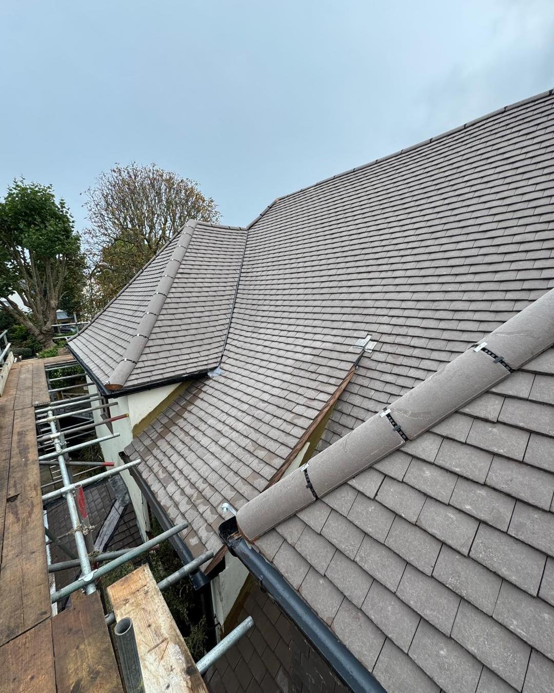 Moss removal in Wimbledon