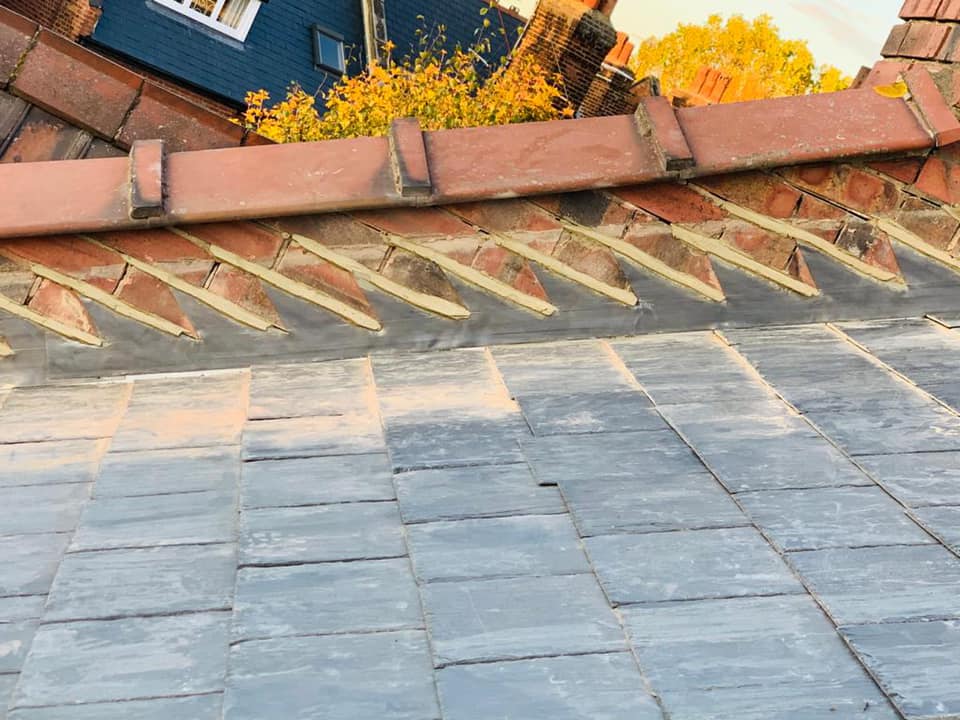 Roof survey in Kensington