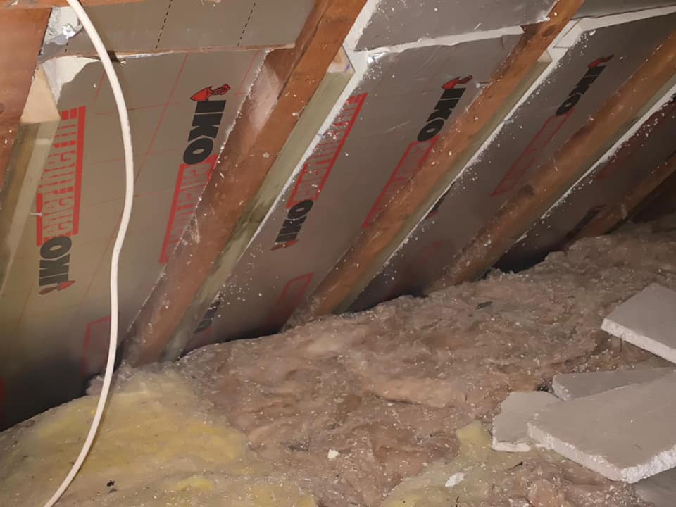 Flat roof replacement in Croydon
