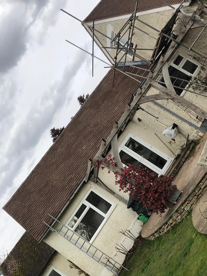 Moss removal in Wimbledon