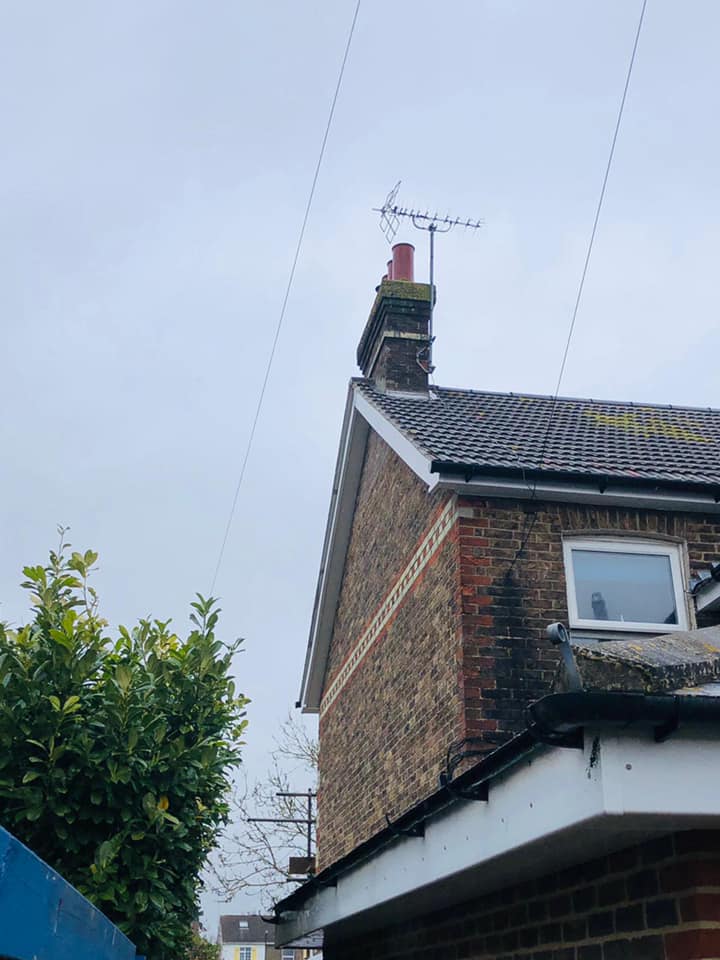 Moss removal in Wimbledon