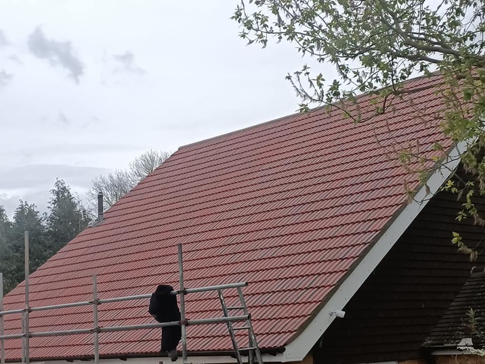 Roof survey in Kensington