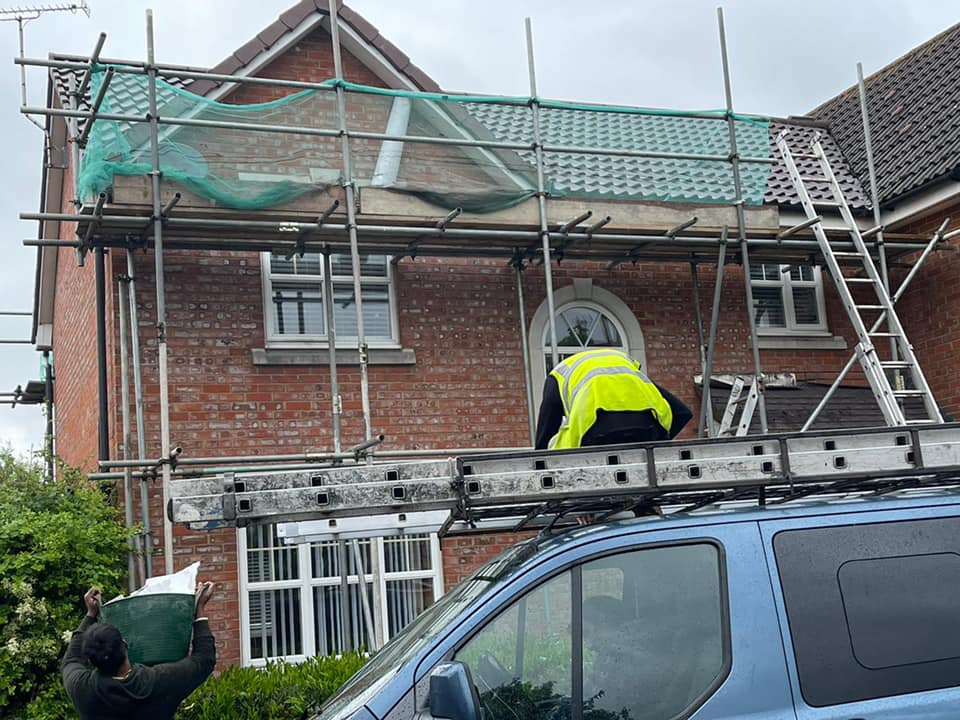 Moss removal in Wimbledon