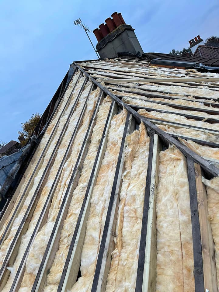 Moss removal in Wimbledon