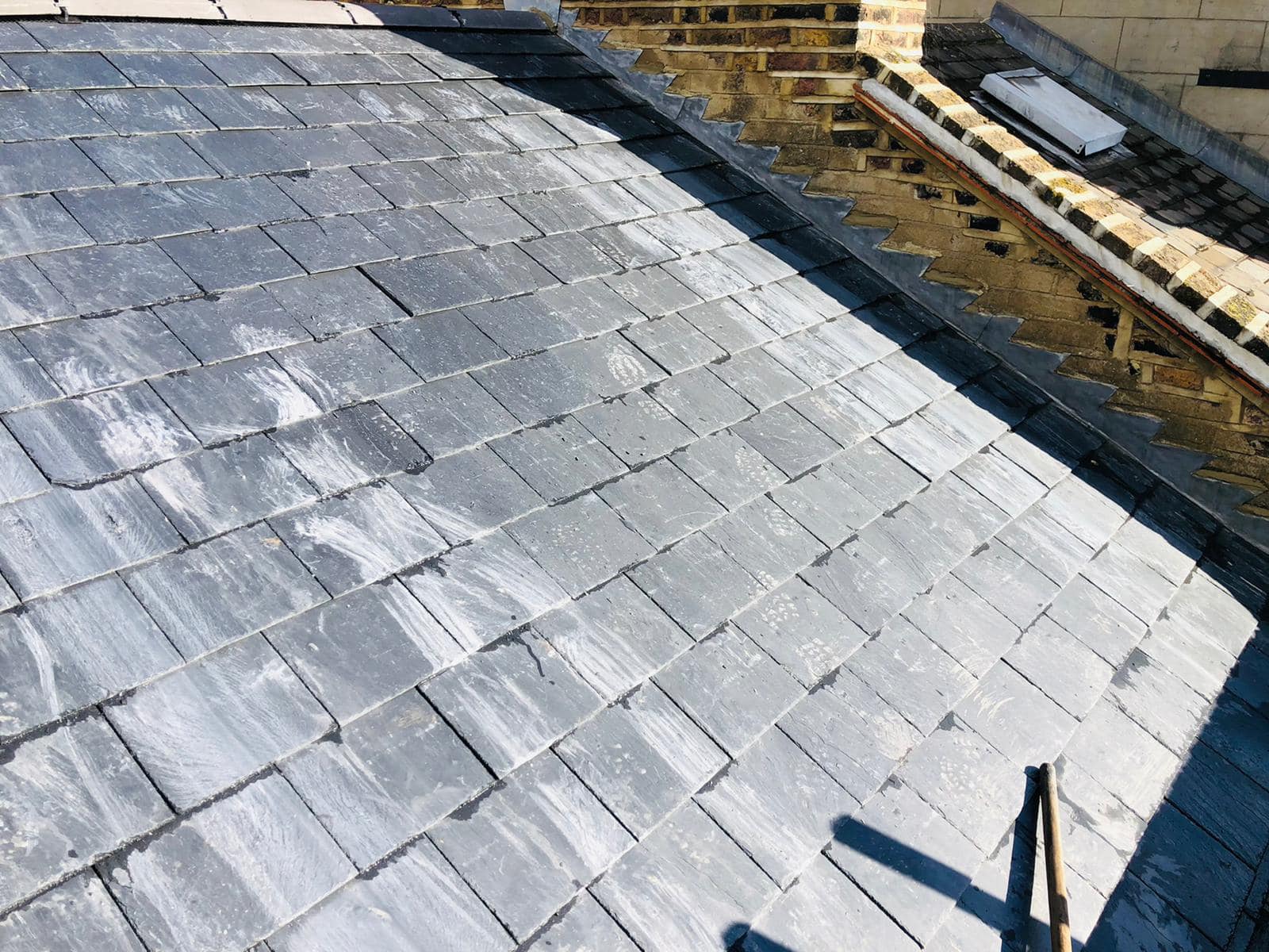 Moss removal in Wimbledon