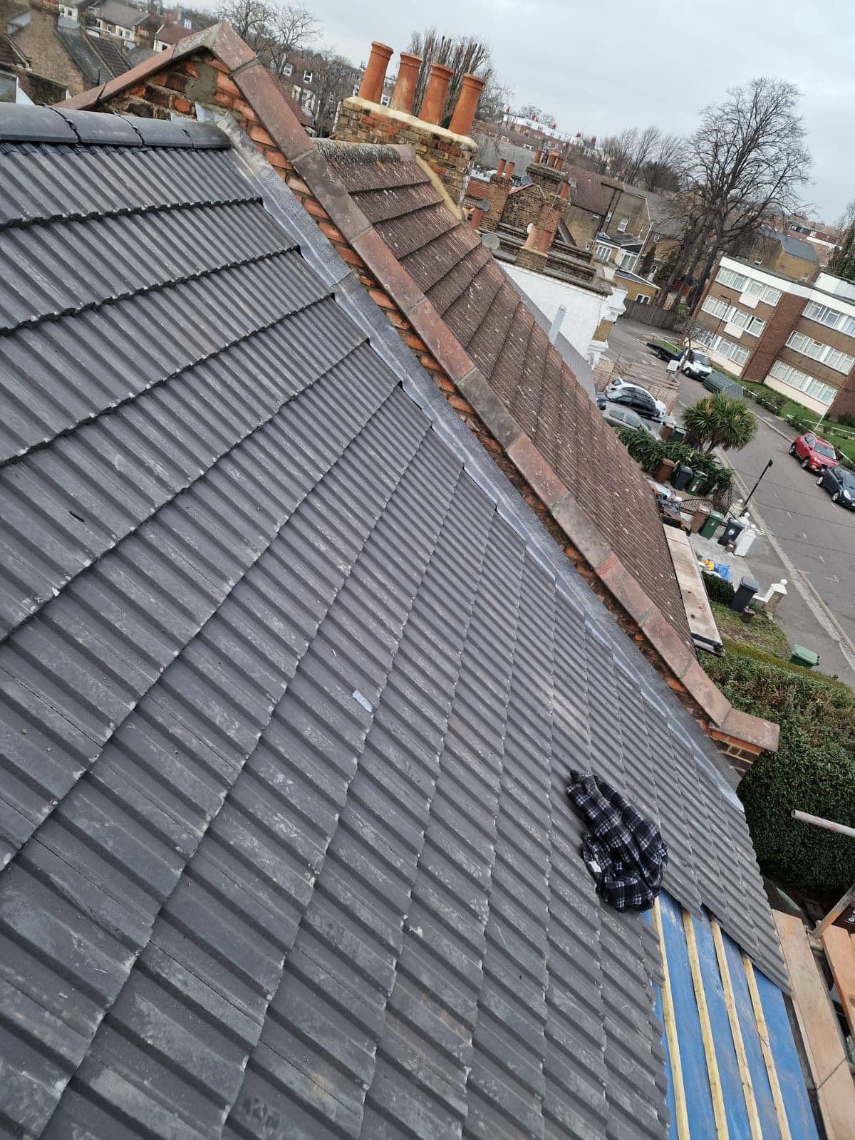 Moss removal in Wimbledon