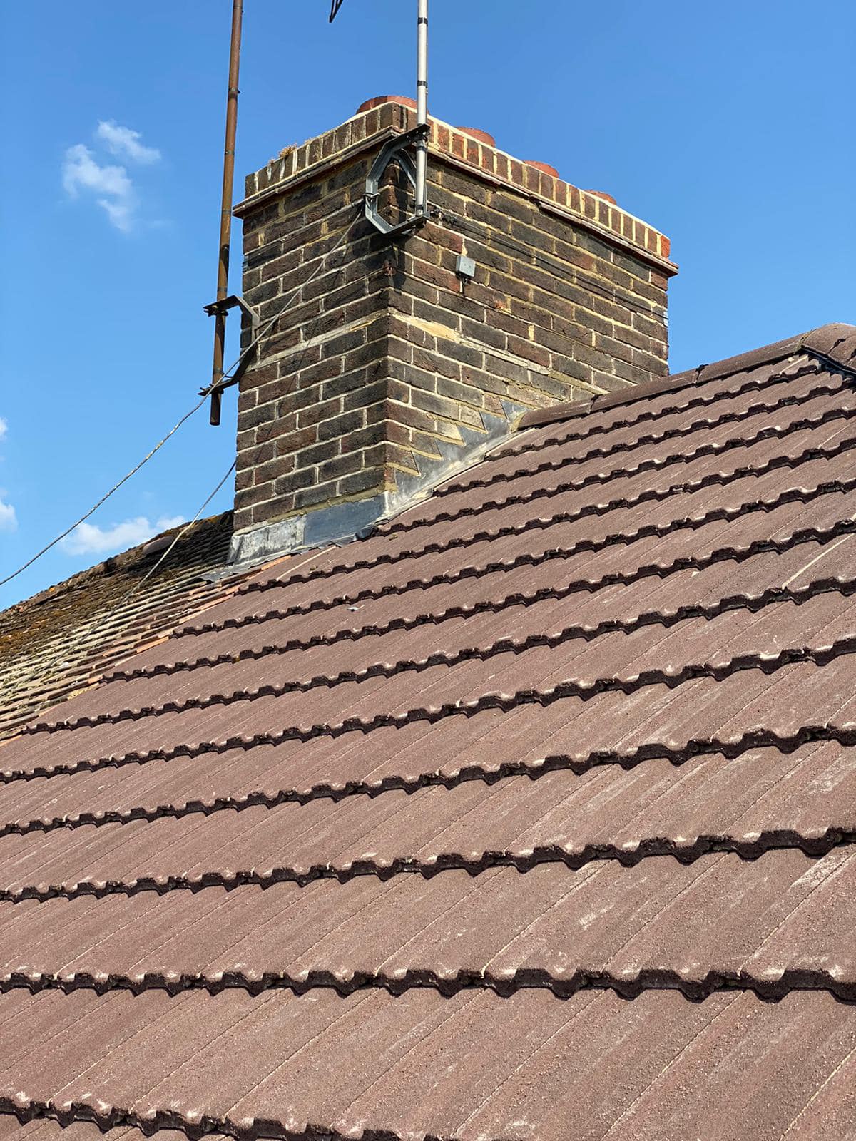 Moss removal in Wimbledon