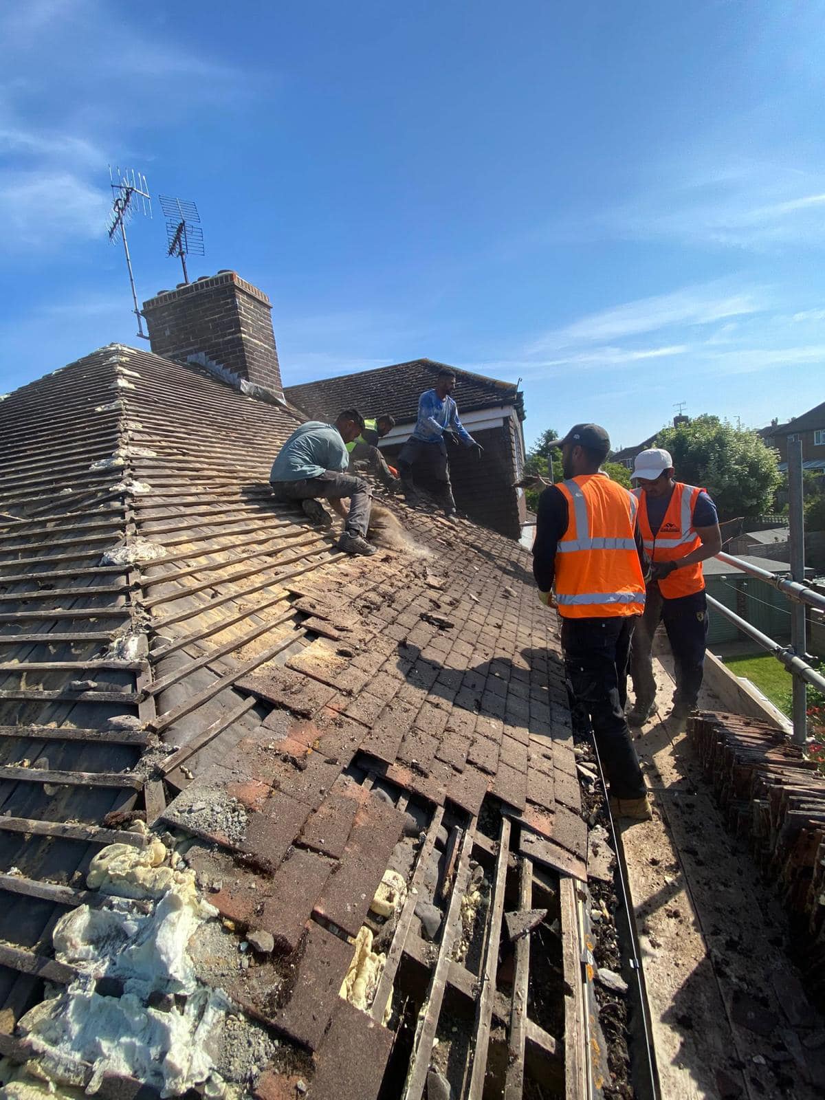 Moss removal in Wimbledon