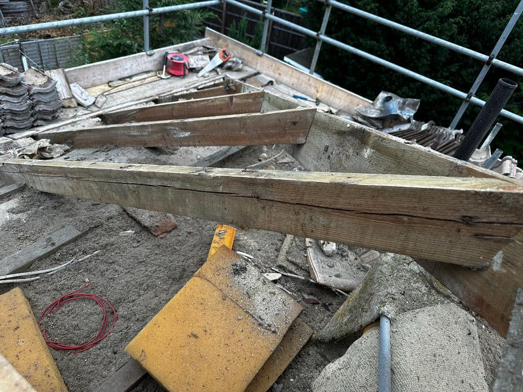 Moss removal in Wimbledon