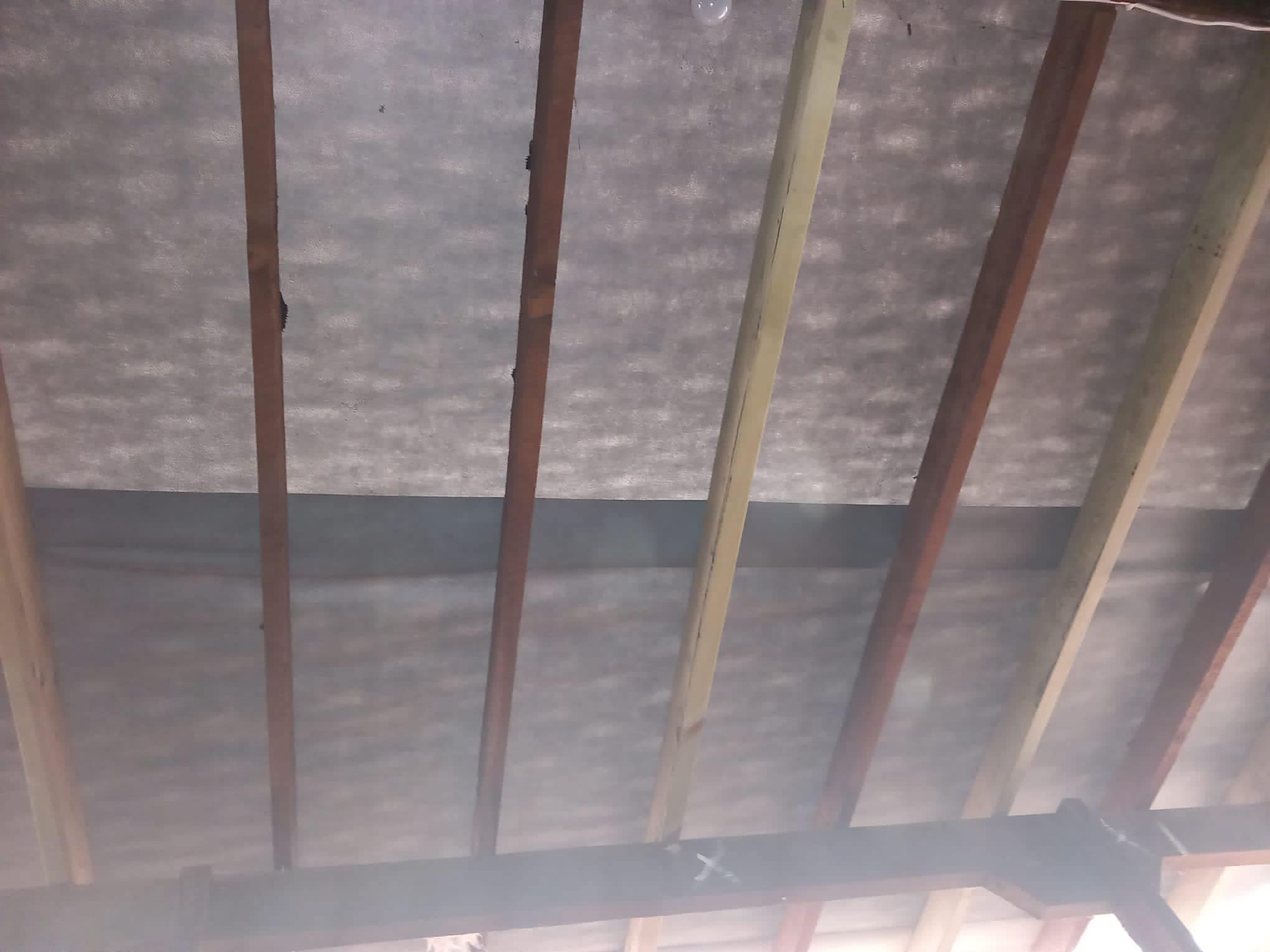 Moss removal in Wimbledon
