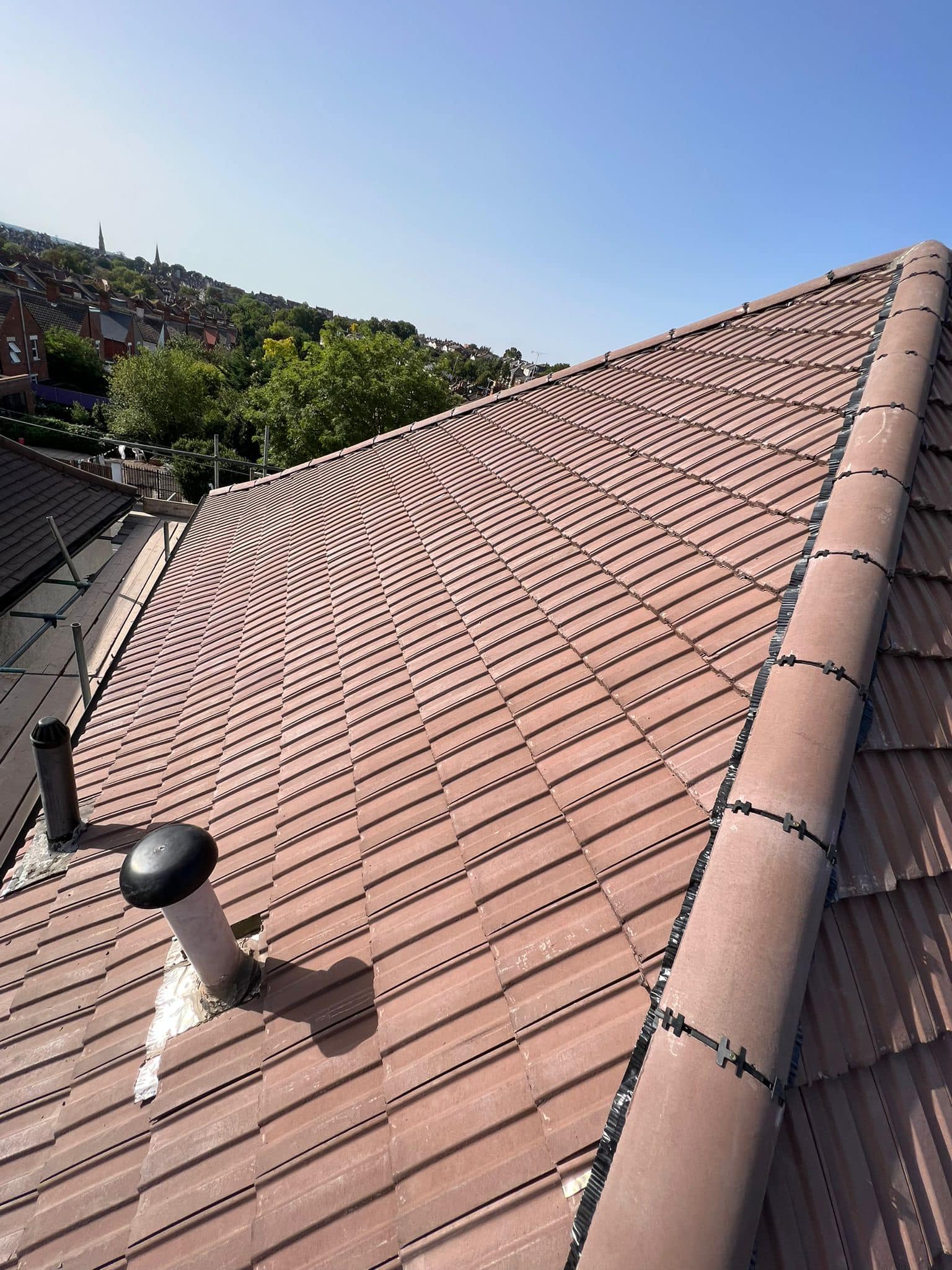 Moss removal in Wimbledon