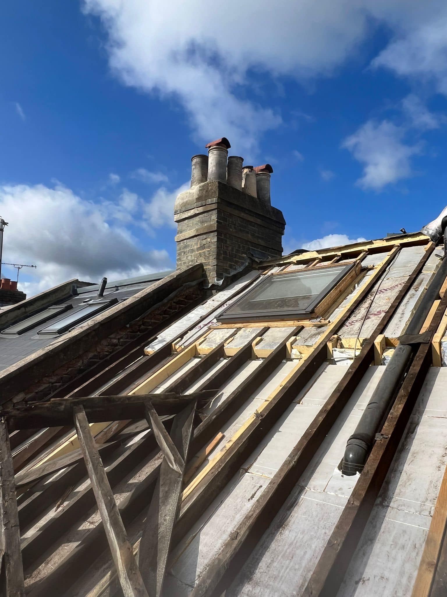 Moss removal in Wimbledon
