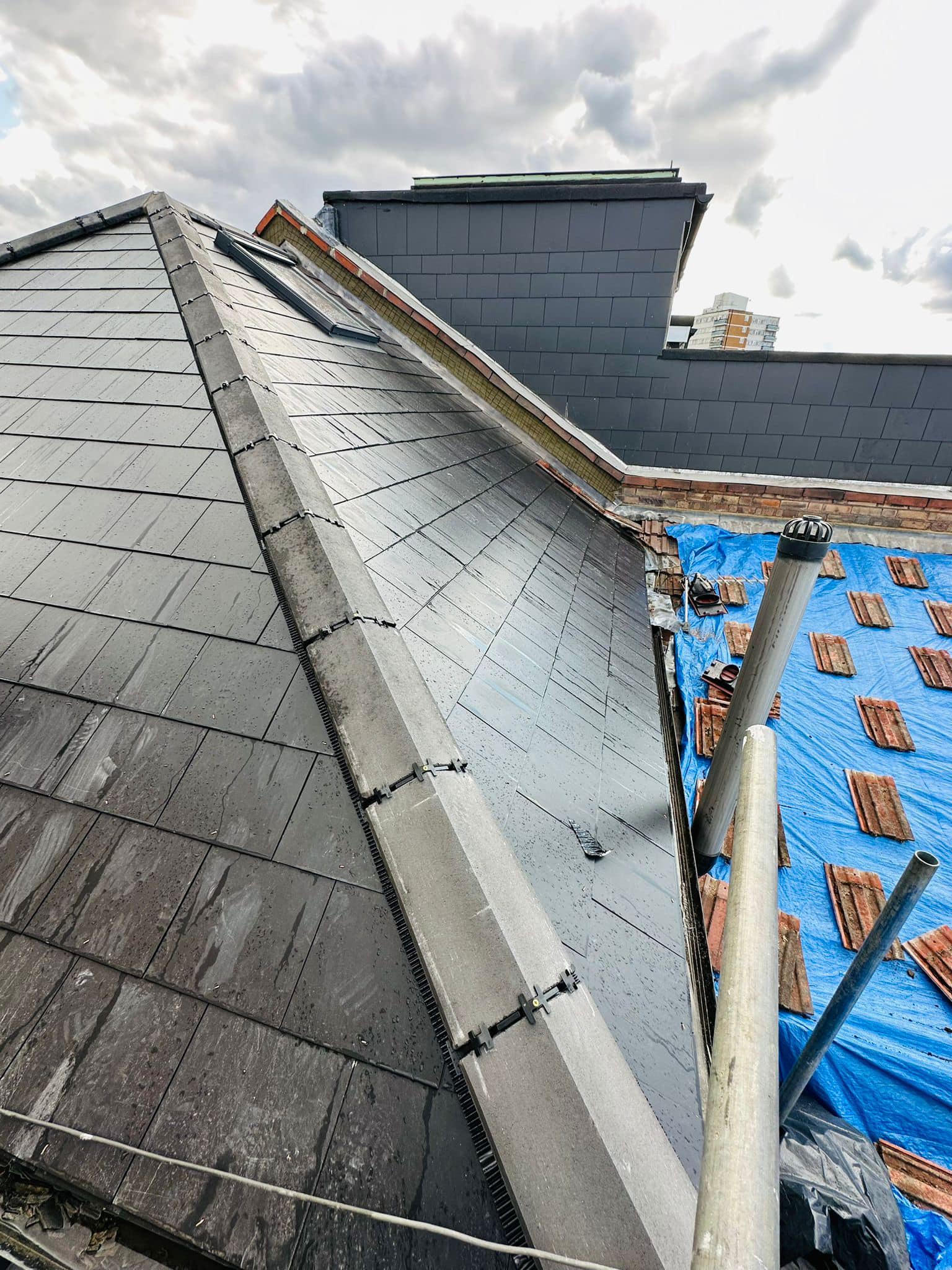 Moss removal in Wimbledon