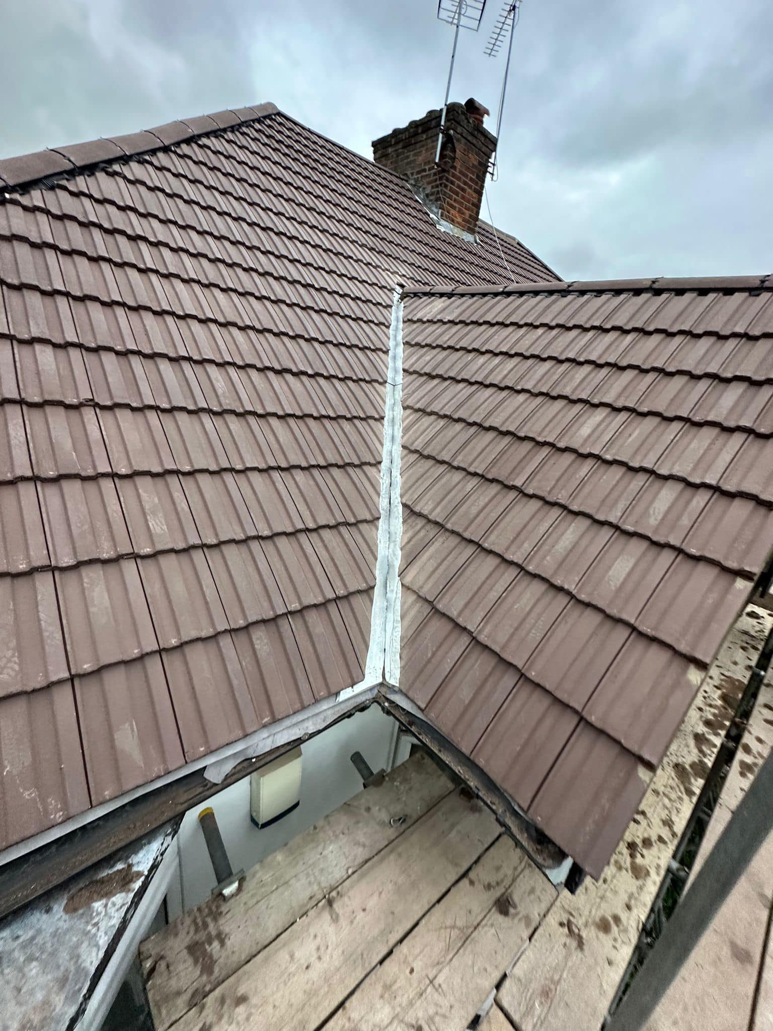 Moss removal in Wimbledon