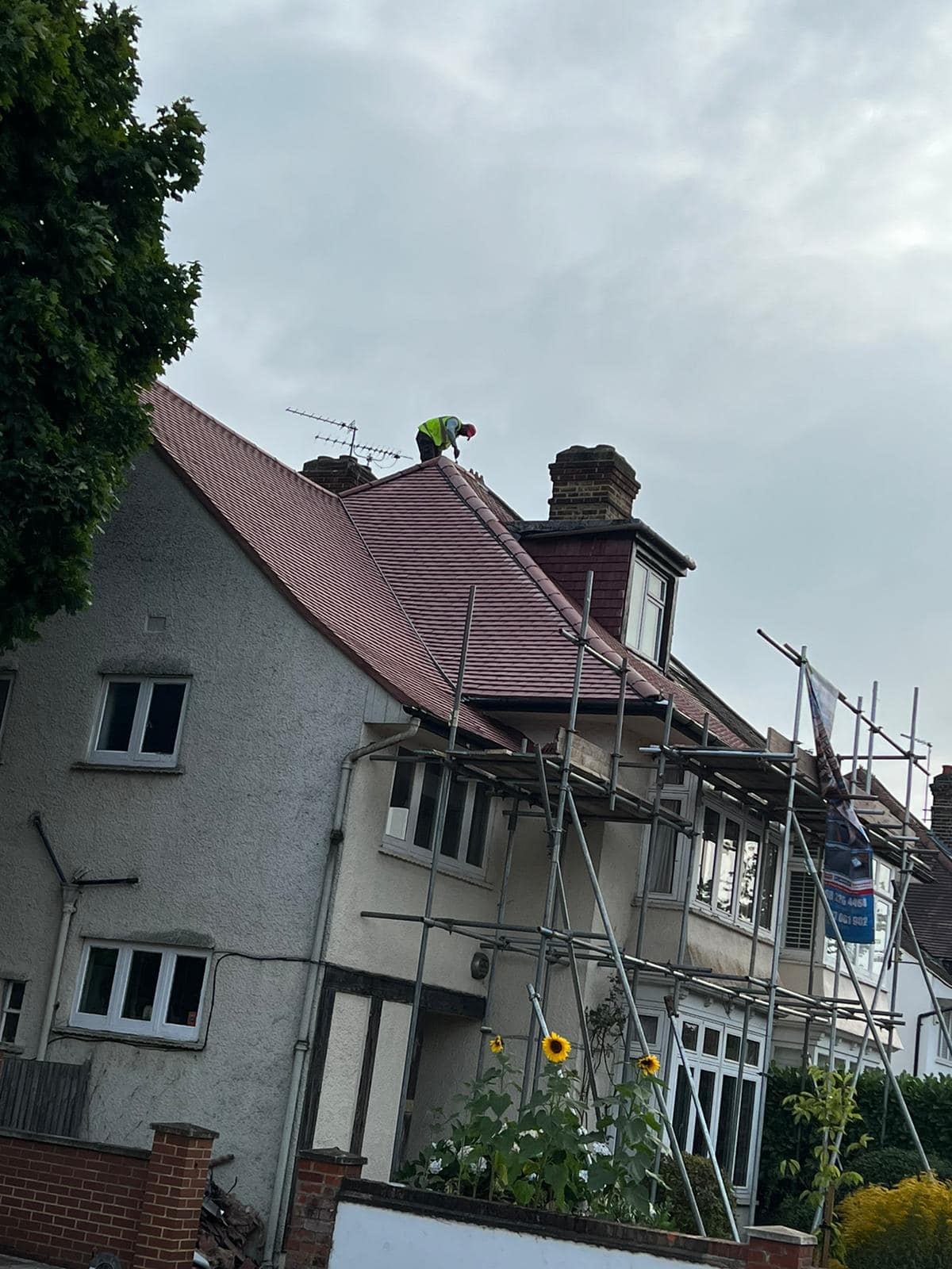 Moss removal in Wimbledon