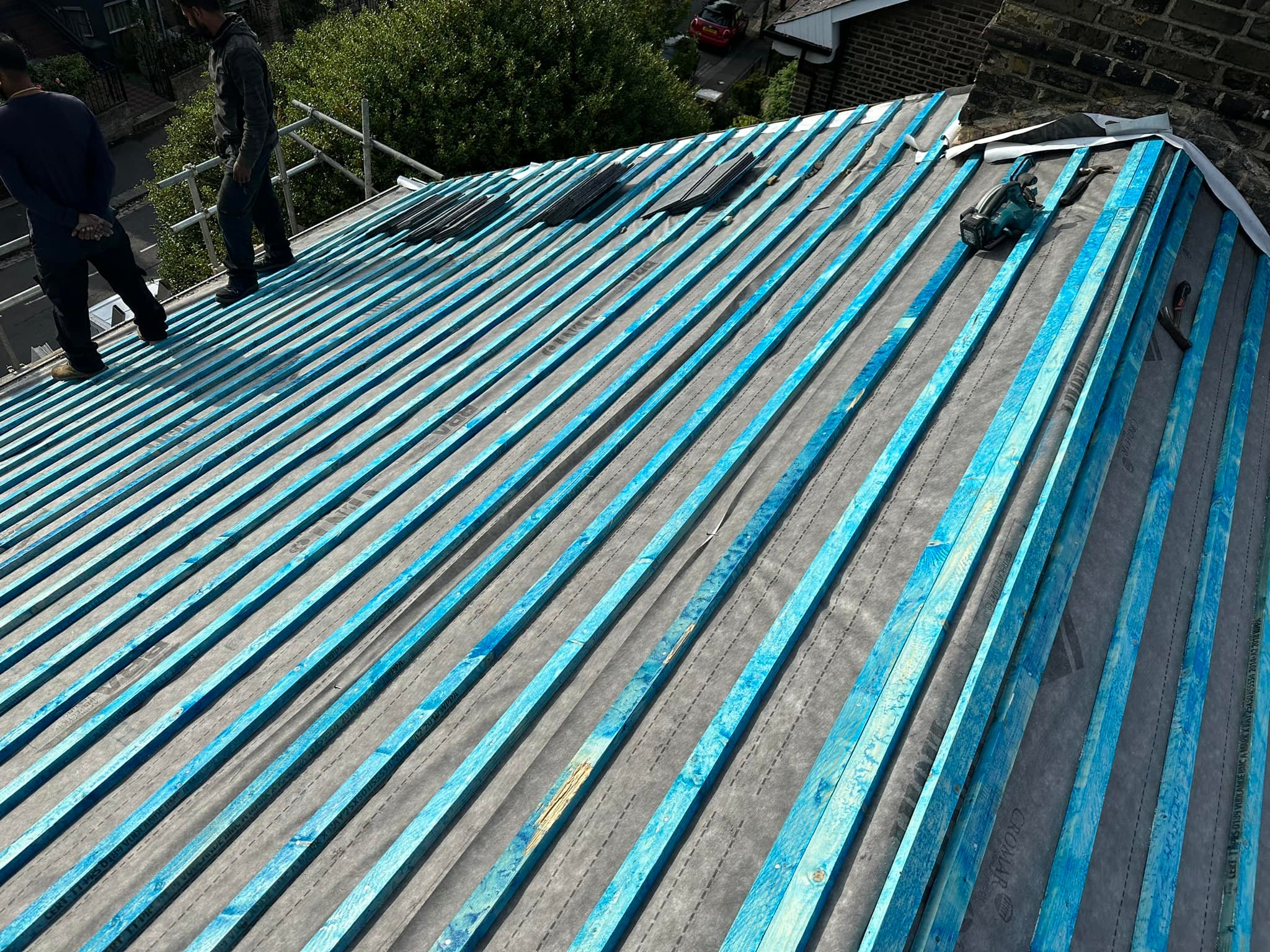 Moss removal in Wimbledon