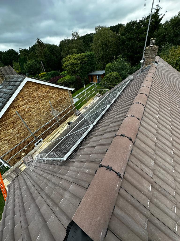 Moss removal in Wimbledon