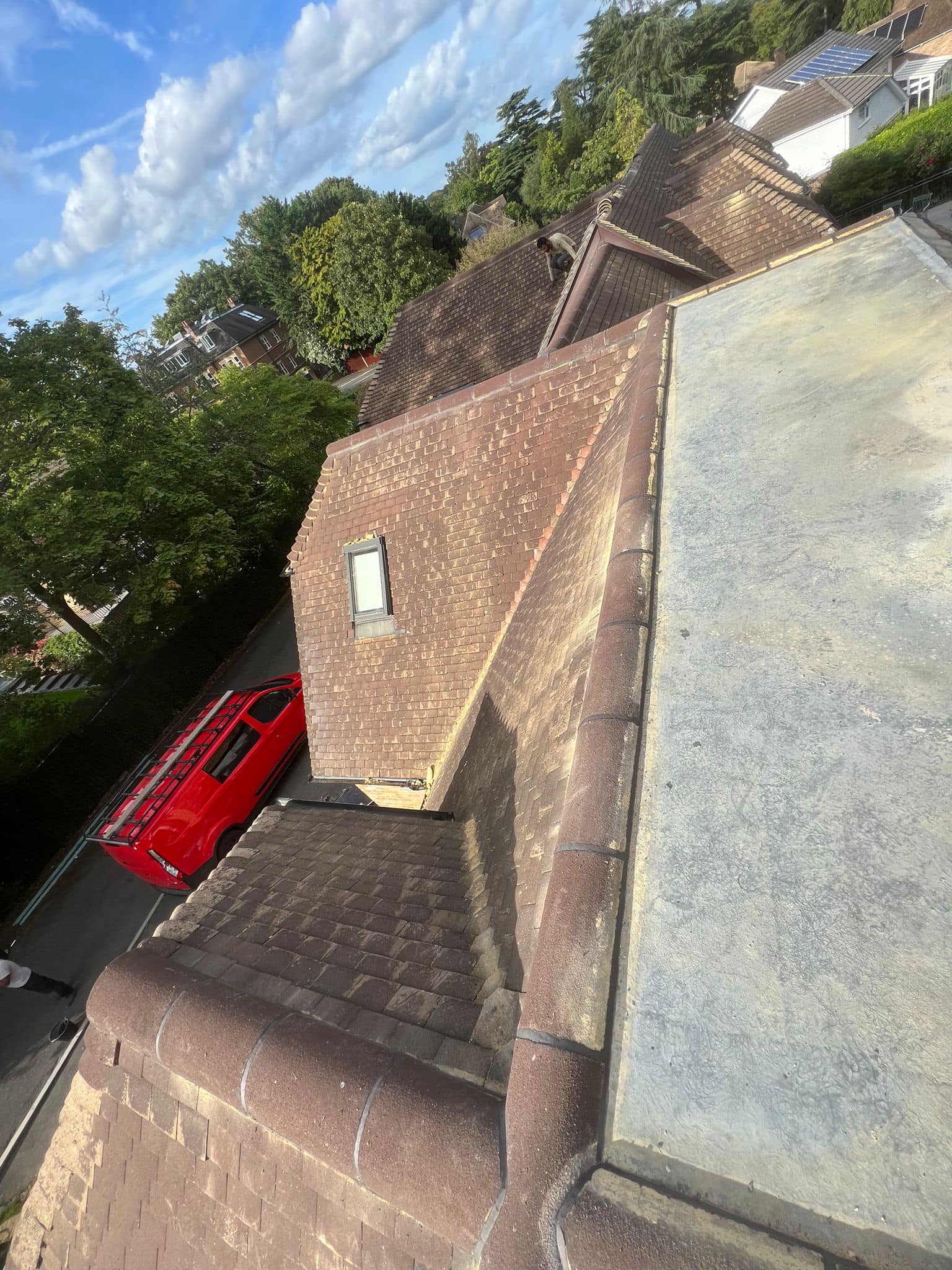 Moss removal in Wimbledon