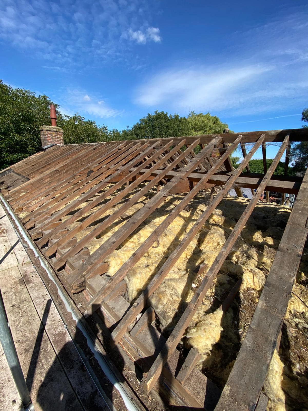 Moss removal in Wimbledon