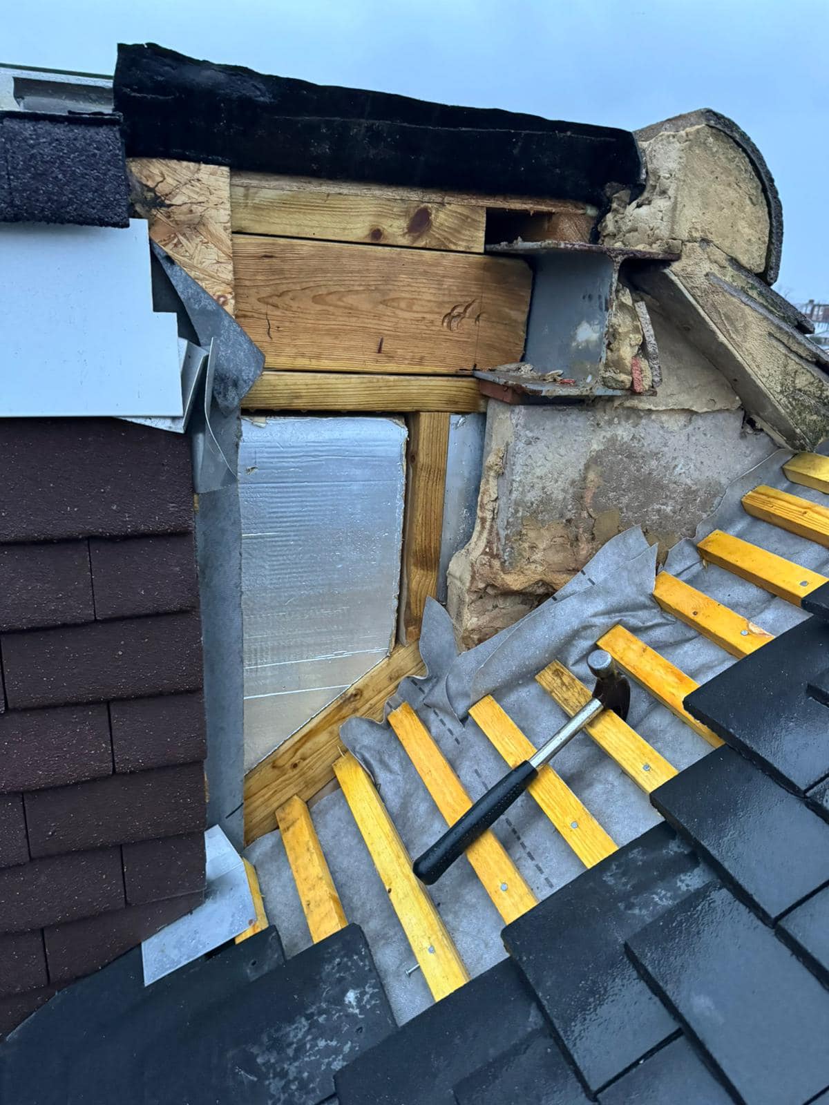 Moss removal in Wimbledon