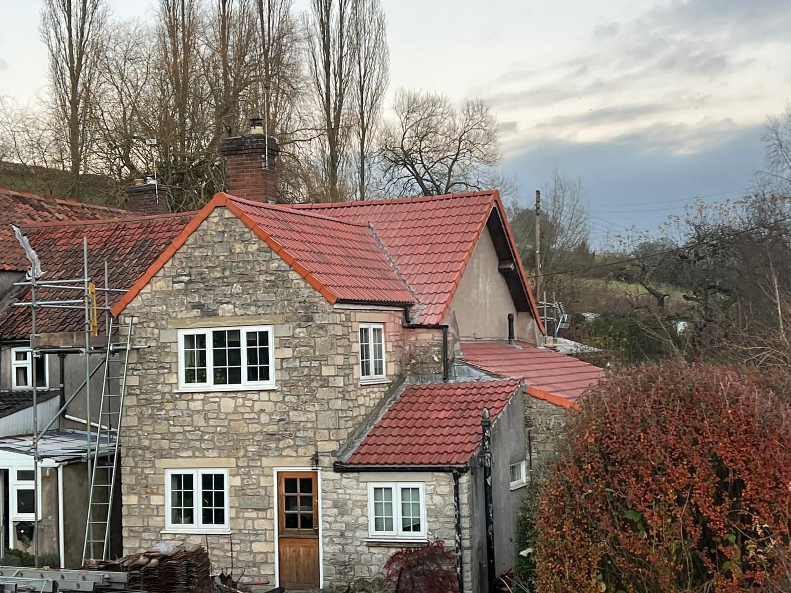 Moss removal in Wimbledon