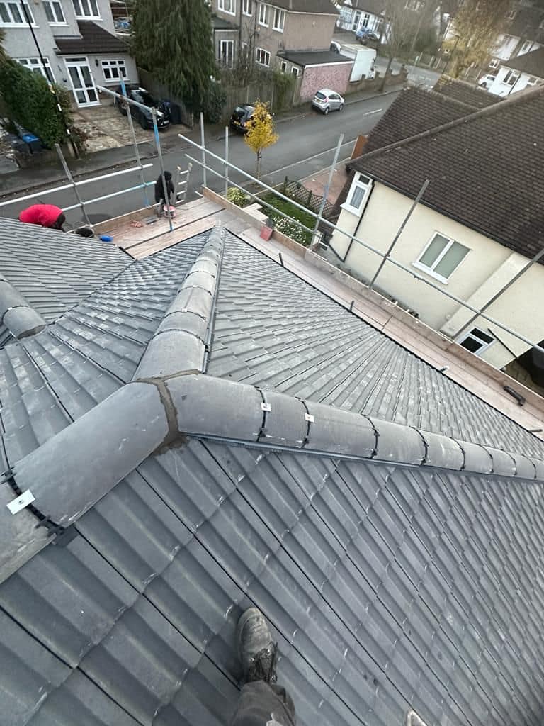 Moss removal in Wimbledon