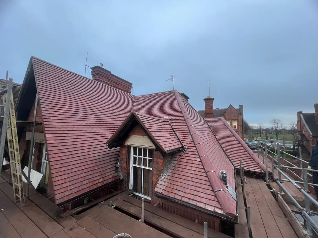 Moss removal in Wimbledon