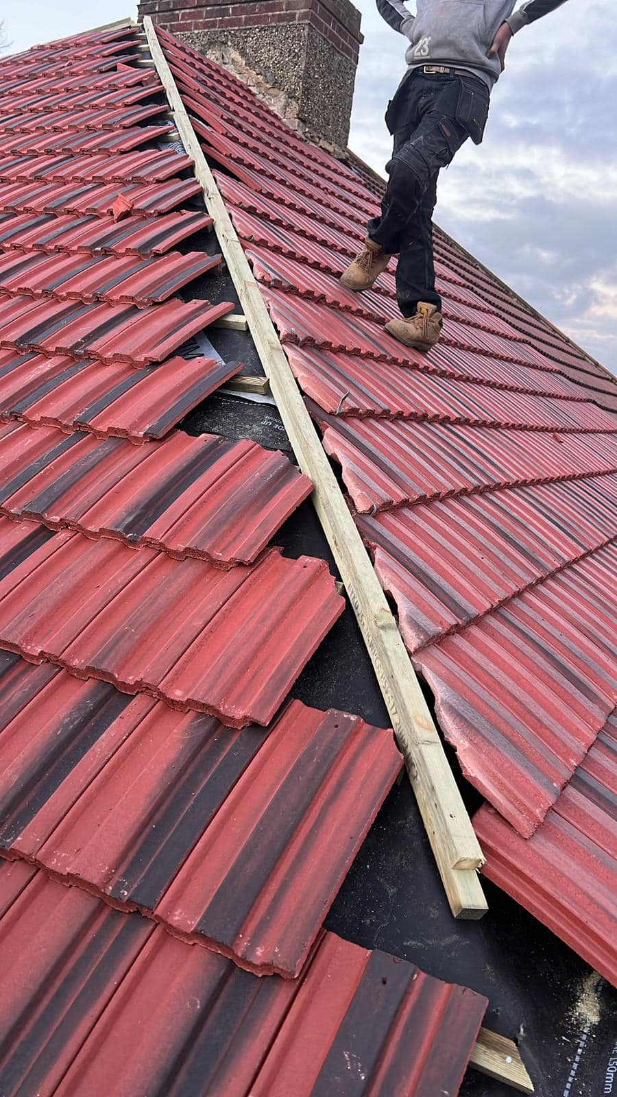 Moss removal in Wimbledon