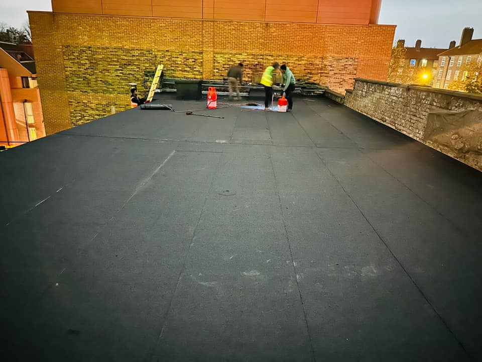 Moss removal in Wimbledon