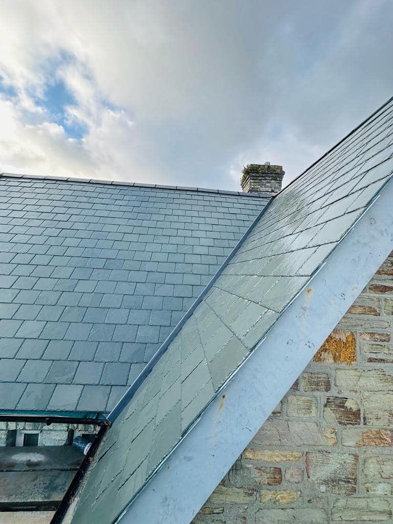 Roof survey in Kensington