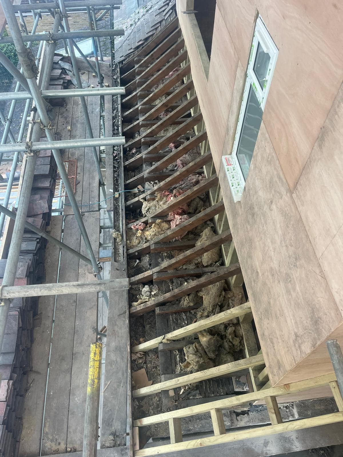 Moss removal in Wimbledon