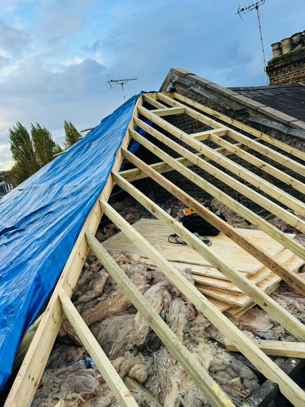 Roof survey in Kensington