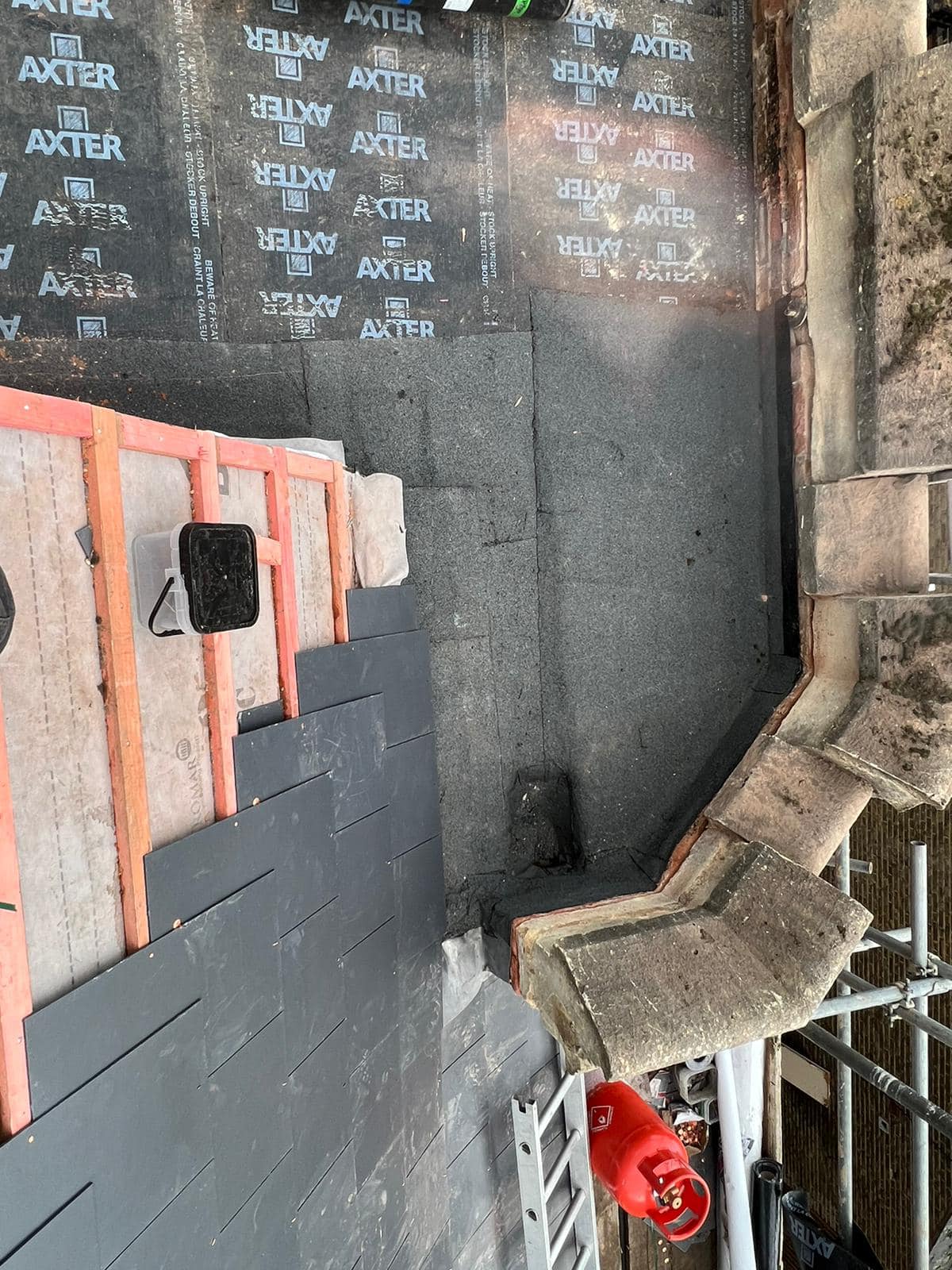 Moss removal in Wimbledon