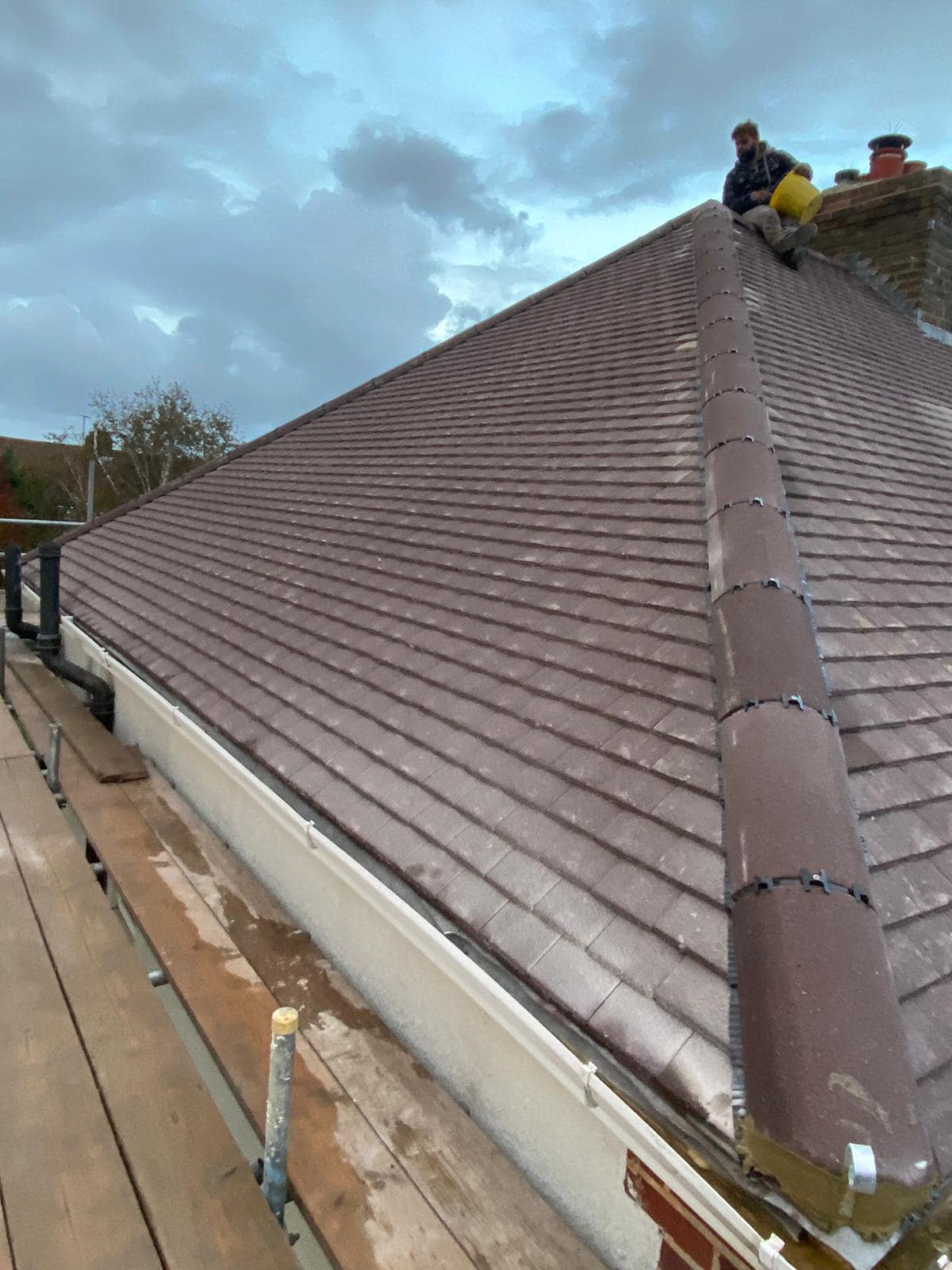 Moss removal in Wimbledon