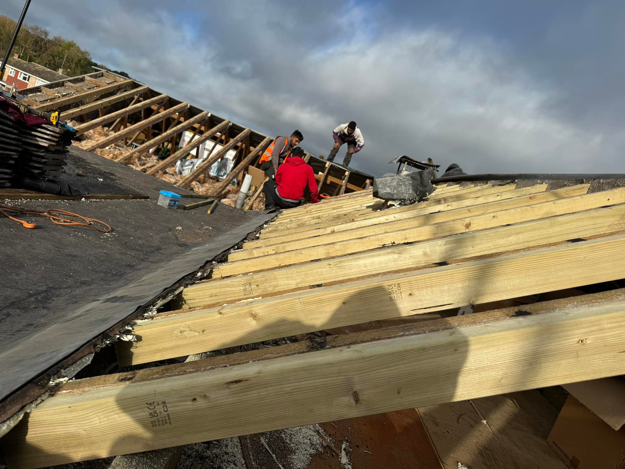 Roof survey in Kensington