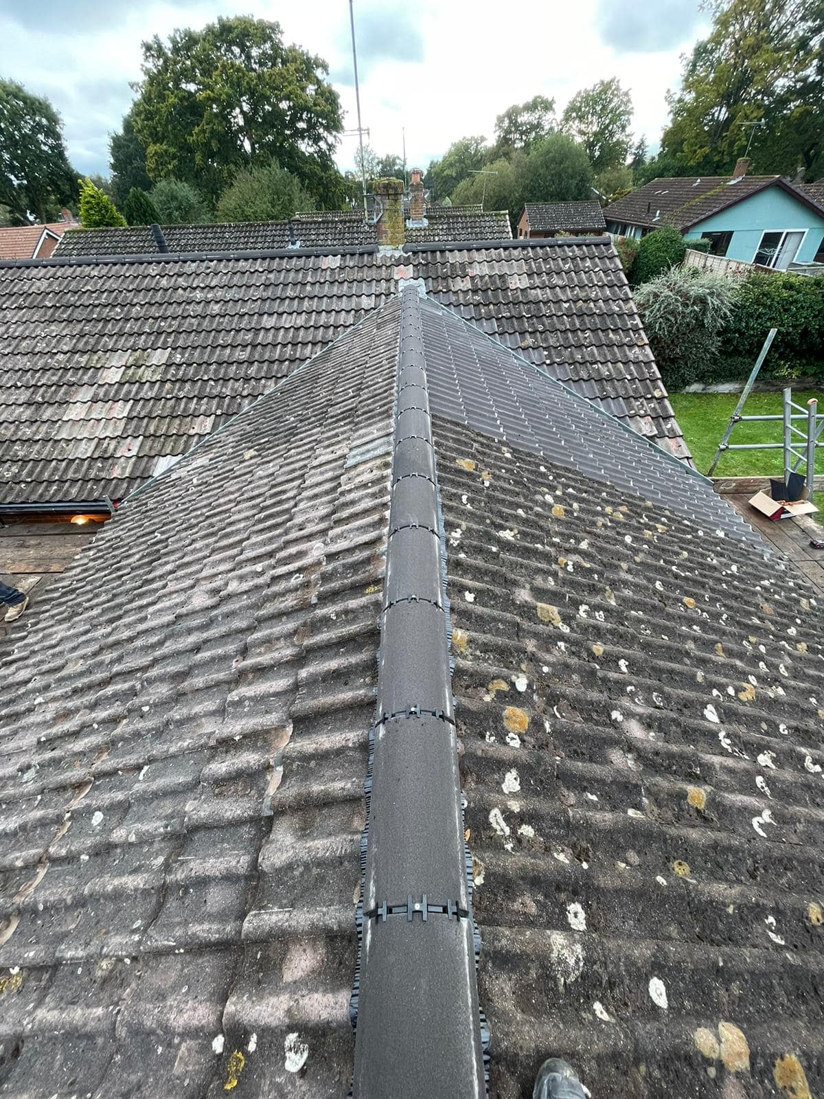 Moss removal in Wimbledon
