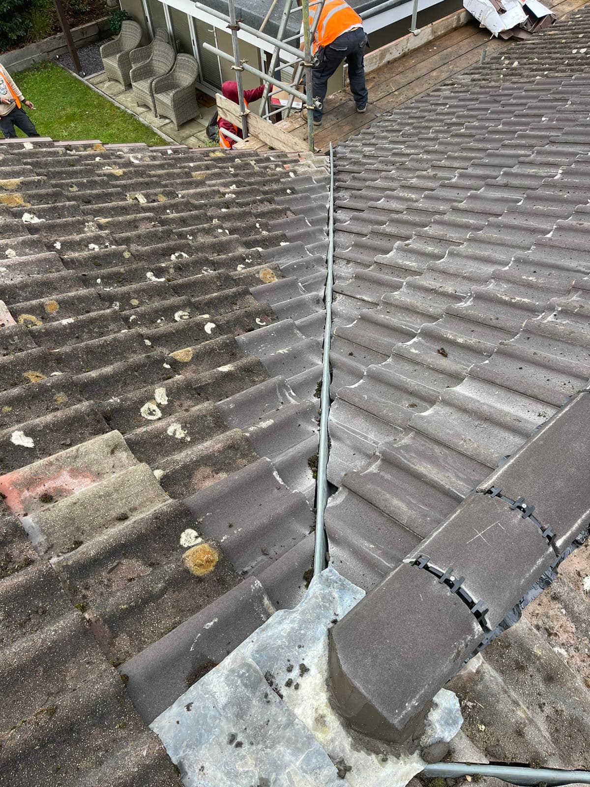 Moss removal in Wimbledon