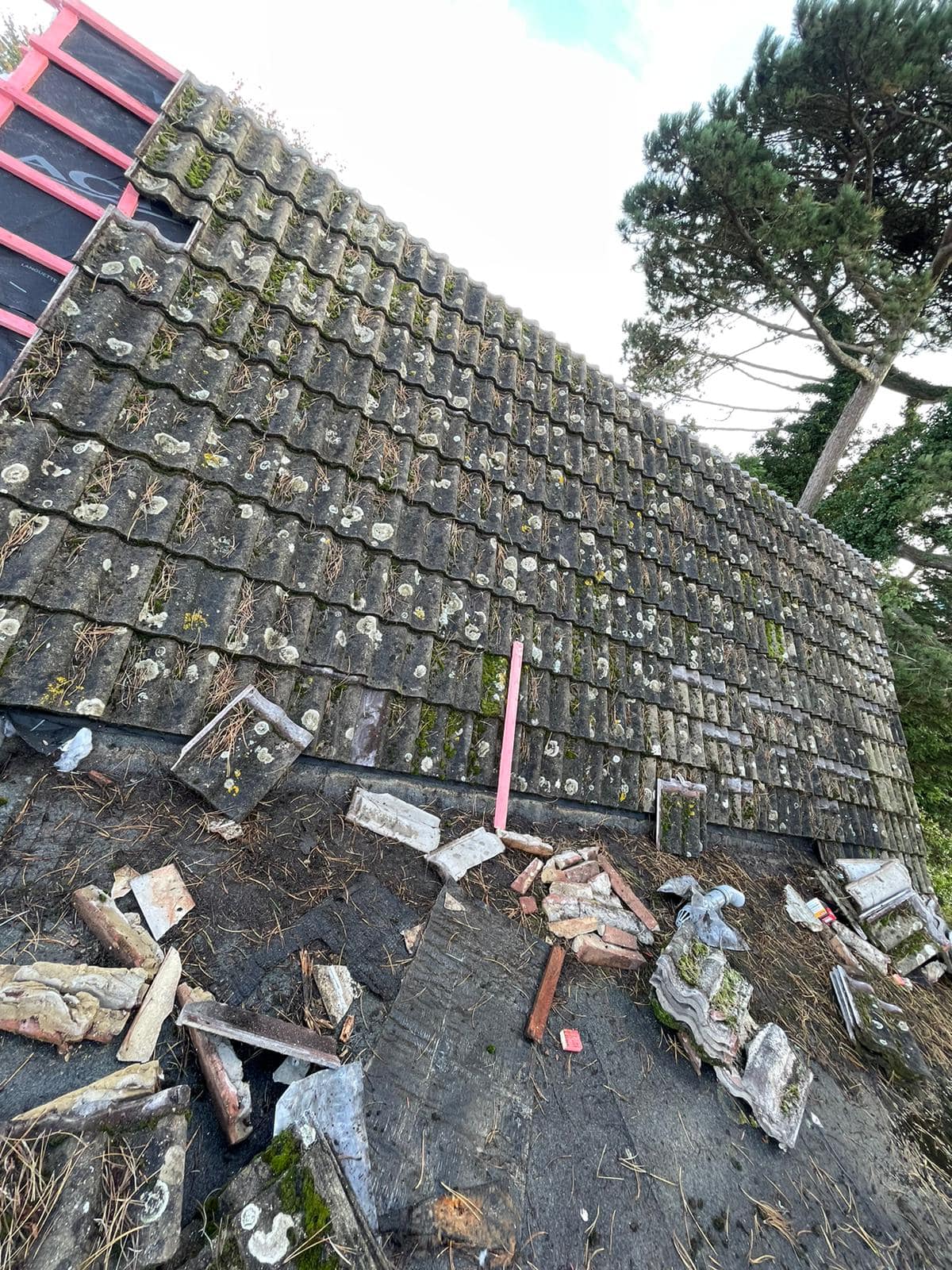 Moss removal in Wimbledon